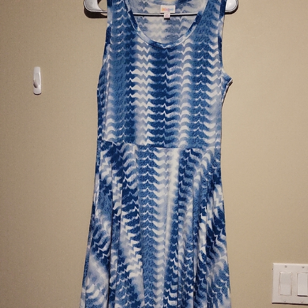 Blue and White Sleeveless Dress